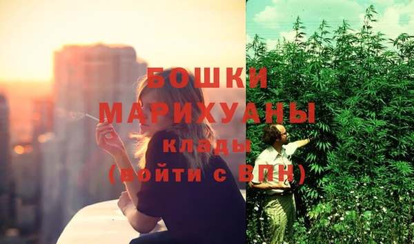PSILOCYBIN Арсеньев